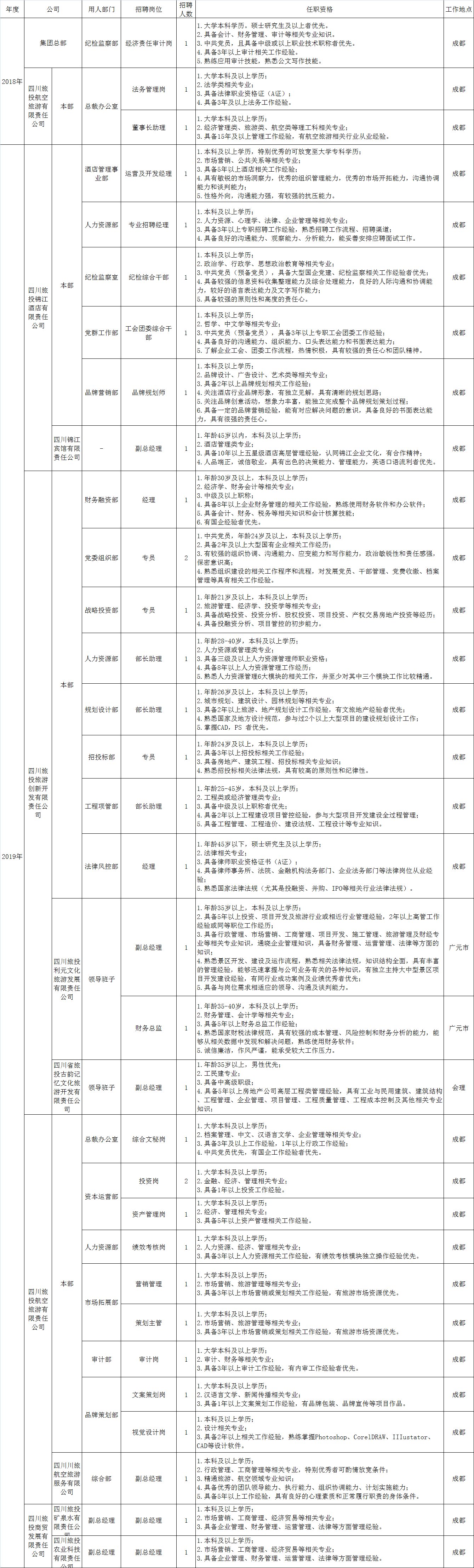 四川省DB电竞集团有限责任公司招聘情况统计表